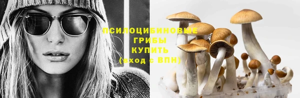 jwh Белокуриха