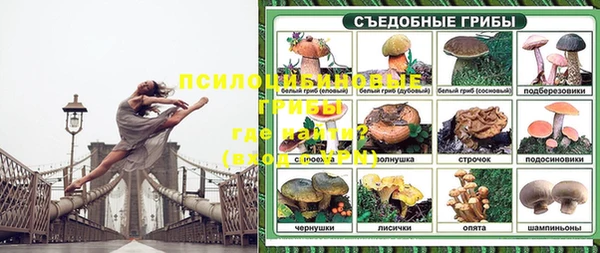 Альфа ПВП Беломорск