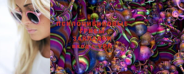 Альфа ПВП Беломорск